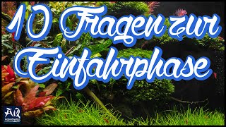 Die 10 häufigsten Fragen zur Einfahrphase im Aquarium  AquaOwner [upl. by Xad130]