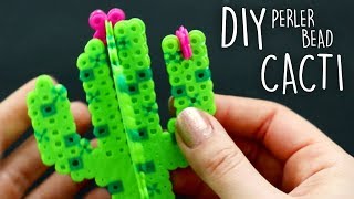 How to Make 3D Perler Bead Cacti amp Succulents [upl. by Ury]