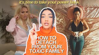 how to deal with your toxic family  understanding signs regaining power new mindset  solutions [upl. by Minardi]