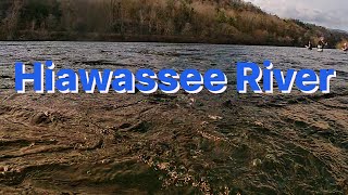 Fishing On The Hiawassee River [upl. by Gulgee]