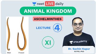 Animal Kingdom  L4  Aschelminthes  Unacademy NEET  NEET LIVE DAILY  NEET Biology  Sachin Sir [upl. by Husch67]