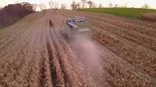 John Deere 9500 Sidehill Combine in the cornfield [upl. by Sobmalarah]