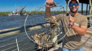 Netting LOTS OF CRABS From a Public Pier  Blue Crab Catch and Cook [upl. by Yffat]