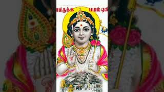 Tiruchandhur andavare velmuruga🙏🙏 [upl. by Gianina]