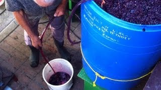 Homemade Italian Wine [upl. by Novaj]