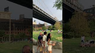 picknick under themanhattan bridge in dumbo brooklyn nyc [upl. by Thibaud119]