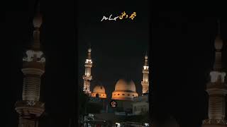 Chichawatni Beautiful Jamia Masjid Scenery share foryoupageforyou Hy Hussain 512 [upl. by Ynnel]