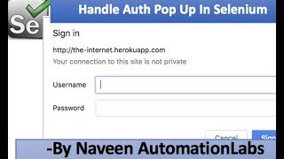 How to Handle Basic Authentication Pop Up in Selenium [upl. by Irrak346]