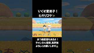 【あつ森】いくぞ愛弟子！ヒカリゴケ あつ森 acnh あつまれどうぶつの森 animalcrossing [upl. by Alaster]