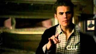 Stefan Salvatore Points out Why Hes Hot [upl. by Tommie948]