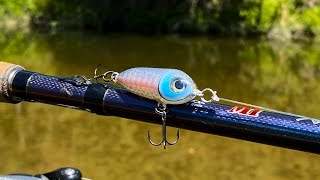 Nano Walking Bait  One Day Build to Catch [upl. by Lizzy]