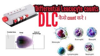 DLC TEST Differential Leukocyte countहिंदी dlc dlctest [upl. by Eidlog]