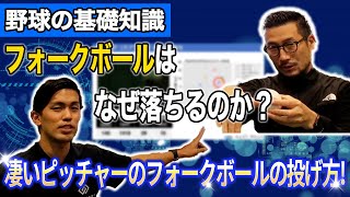 変化球の『正体』フォークボールはなぜ落ちる？スライダー・フォークの選手ごとの特徴も紹介！ [upl. by Roxi]