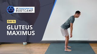 HIP TRANSFORMATION BOOTCAMP Day 5 Gluteus Maximus [upl. by Hallimaj]