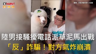 CTWANT 生活趣聞  陸男接騷擾電話派草泥馬出戰 「反」詐騙！對方氣炸崩潰 [upl. by Lotsyrc]