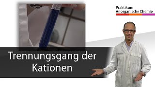 Trennungsgang der Kationen  Praktikum Anorganische Chemie [upl. by Petr]