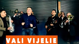 VALI VIJELIE si GABI DE LA ORADEA  IMNUL BETIVULUI VIDEO 2019 [upl. by Tirrej]