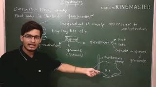 Liverworts detailed description [upl. by Ettenuj]