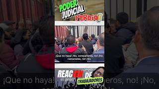 Reacción de trabajadores del poder judicial al perder mexico noticias sheinbaum [upl. by Glynda]