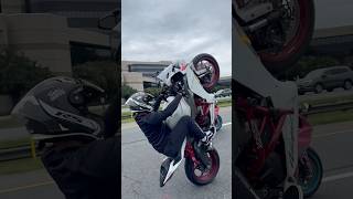 DMV drop back city stunts wheelielife kawasakizx6r kawasaki kawasaki636 zx6r dropback viral [upl. by Dreeda464]