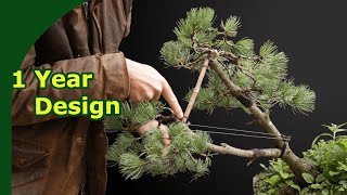 Rebuild a Japanese White Pine Bonsai Pruning Wiring and repotting [upl. by Llarret422]