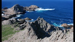 Farallon Islands Live Webcam  California Academy of Sciences [upl. by Haslett684]