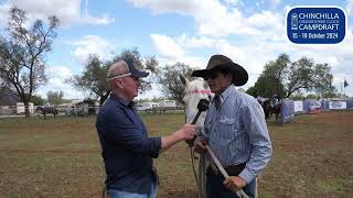 CC with Cameron Webster at Chinchilla Campdraft [upl. by Ado]