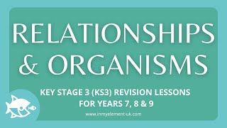 Importance of plants dependence respiration amp photosynthesis  Biology Revision Years 7 8 amp 9 [upl. by Stanly]