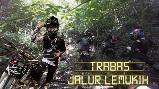 Buleleng tongos ne  Trabas jalur lemukih [upl. by Larual577]