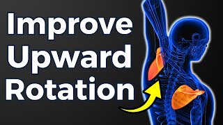 How To Improve Scapular Upward Rotation 3 Steps [upl. by Niuqram]