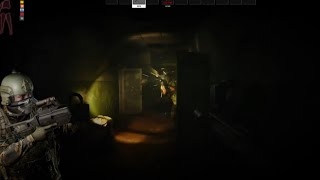 Disease History Done The Right Way  Escape From Tarkov ￼ [upl. by Rusty]