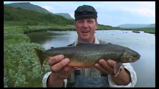 FISH M Catch n Cook Salvelinus and Trout in Sweden Fiskedrag S03E01 [upl. by Bolt]