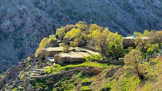 What is the secret of Pir Shaliars ceremony that has been kept for a thousand years [upl. by Ynatirb]