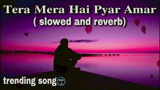 Tera Mera Hai pyar Amar Lofi  Ishq murshid [upl. by Toft]