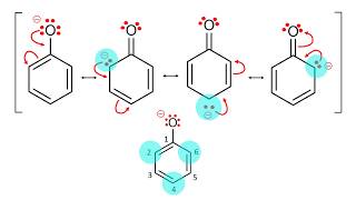 Phenoxide Anion Resonance [upl. by Stephannie]