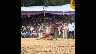 Jassa Patti vs Pritpal Phagwara Kushti 2023 [upl. by Bozovich]