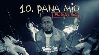 Polakan Ft Melymel  Pana Mío  Trampeao [upl. by Naquin853]