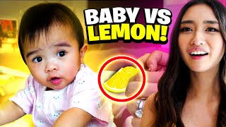 Baby vs Lemon Cutest Reaction Ever [upl. by Raman]