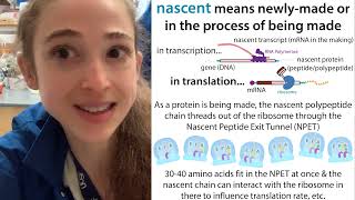 quotNascentquot meaning in context of nascent peptide nascent transcript etc [upl. by Maurizia]