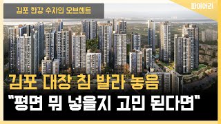 김포 한강 수자인 오브센트 평면 일정 이런저런 이야기들 [upl. by Jeth238]