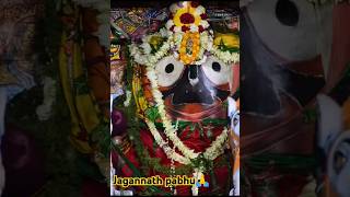 🙏 Jagannath 🎶 Swami 🙏🎶 like amp subscribe rathayatrasong festival jibankuanr5079 reels [upl. by Yousuf]