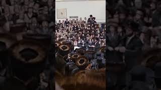 Hachnosas Sefer Torah In Nadvorna Bnei Brak  Shvat 5784 [upl. by Calloway221]