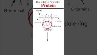 HopkinsCole reaction csirnet iitgate iitjam [upl. by Kerat77]