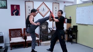 Wing Chun Sharings  Sifu Donald Mak 麥廣權師傅：詠春應用分享 [upl. by Maryanne893]