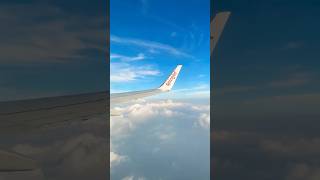 vacation trip trending fly flowers songs tiktok jetlag trendingshorts trendingvideo [upl. by Naihs304]