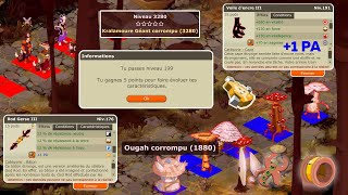 DOFUS RETRO TEMPORIS III 11  VOILE EXO PARFAIT amp UP 199 [upl. by Ellirehs]