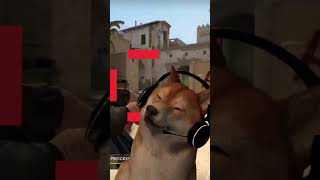 MOSCOW DOG VIBING [upl. by Benedikta498]