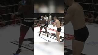 Brutal MMA Fight Kevin Randleman VS Cro Cop crocop kevinrandleman mma pridefc ufcfighter ufc [upl. by Hartnett]