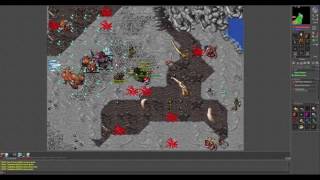 Tibia Oramond Major Minotaurs800kh exp duo [upl. by Erina]