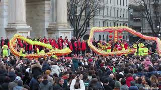 Capodanno cinese 2024 a Milano la danza del leone e del drago [upl. by Rettig]